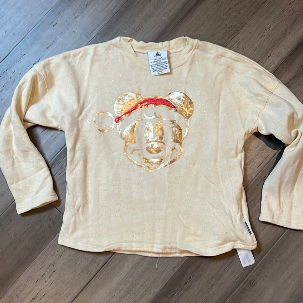 Walt Disney World Christmas Spirit Jersey